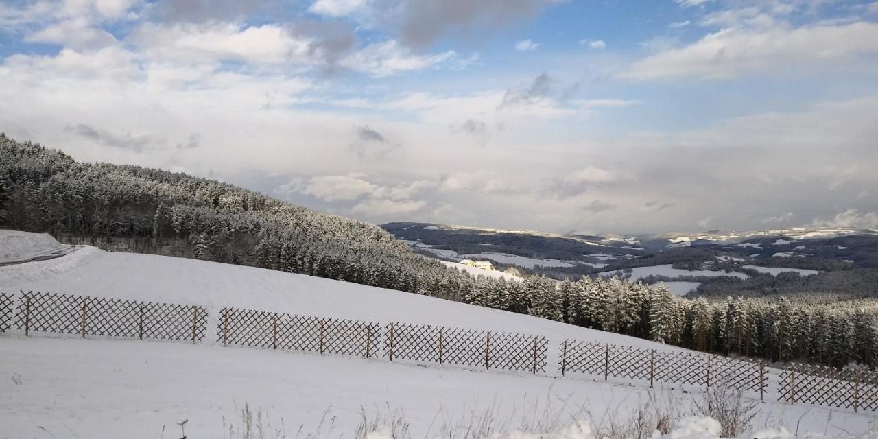 Wald-Panorama-Zimmer Bed & Breakfast Mönichkirchen Exterior foto