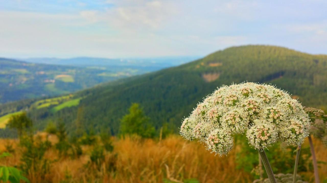 Wald-Panorama-Zimmer Bed & Breakfast Mönichkirchen Exterior foto